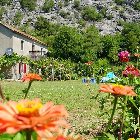 Camp Podkraj Hotel Virpazar Ngoại thất bức ảnh